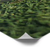 Golfbal aan de rand van het gat poster (Hoek)