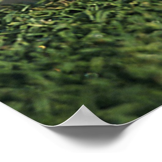 Golfbal aan de rand van het gat poster (Hoek)