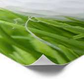 Golfbal in gras poster (Hoek)