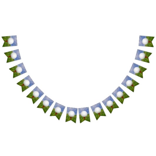 Golfbal op rood t-shirt in gras vlaggetjes (Alle)