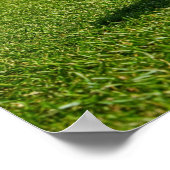 Golfbal op zonnige fairway scène poster (Hoek)