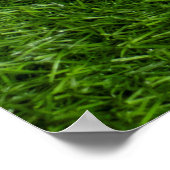 Golfballen liggen op groen gras poster (Hoek)