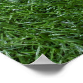 Golfballen liggen op groen gras poster (Hoek)