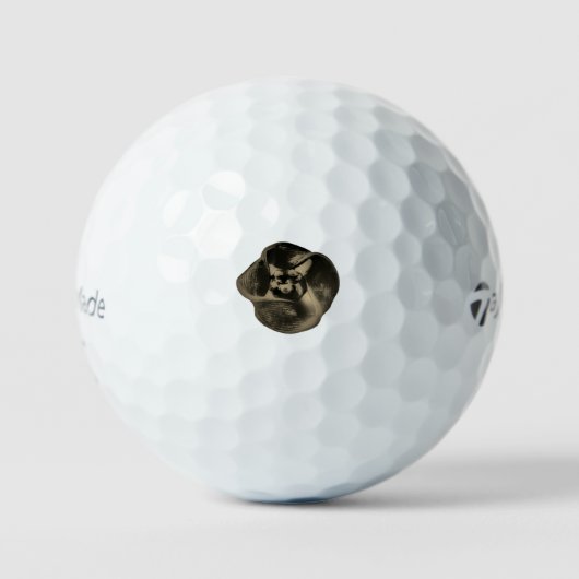 GOLFballen TAYLOR MADE TP5 (Voorkant)
