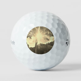 GOLFBALlen TAYLOR MADE TP5