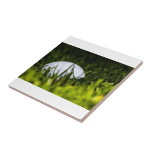 golfballonhulsel tegeltje