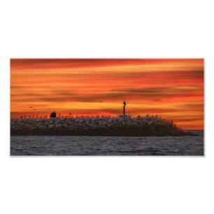 Golfbreker met pelikanen - Marina Del Rey, CA Foto Afdruk