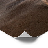 Golfbreuk op het strand in Californië Poster (Hoek)