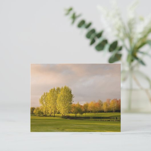 Golfcursus in het najaar van het Briefkaart (Staand voorkant)