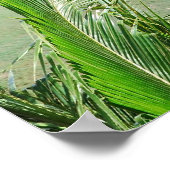 Golfcursus in het Poster Tropics (Hoek)