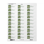 Golfcursus in Tropics Mailing Labels (Full Sheet)