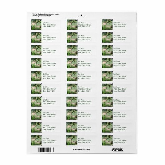 Golfcursus in Tropics Mailing Labels (Full Sheet)