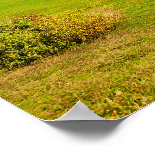 Golfcursus Poster (Hoek)