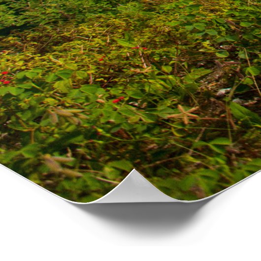 Golfcursus Poster (Hoek)