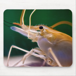 Golfgarnaal - Mousepad Muismat