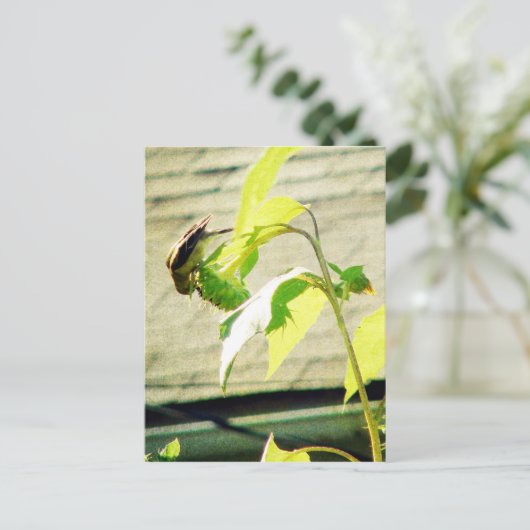 Golfinch en zonnebloem briefkaart (Staand voorkant)