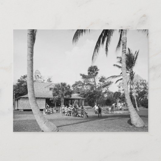 Golfing in Palm Beach, 1904 Briefkaart (Voorkant)