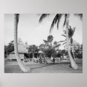 Golfing in Palm Beach, 1904 Poster (Voorkant)