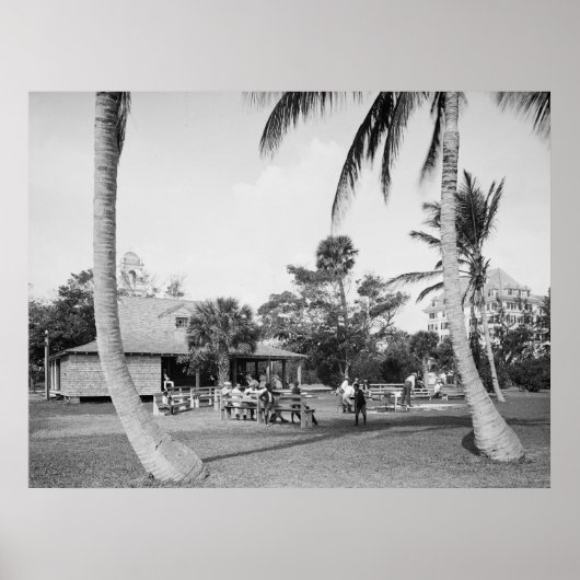 Golfing in Palm Beach, 1904 Poster (Voorkant)