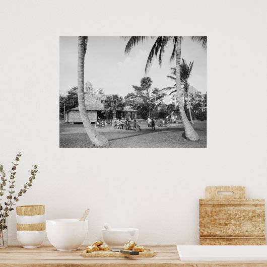 Golfing in Palm Beach, 1904 Poster (Keuken)