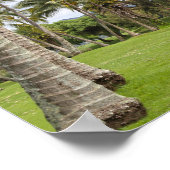 Golfkarren in Poipu Bay, Kauai, Hawaï Poster (Hoek)