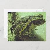 Golfkust Briefkaart (Voorkant / Achterkant)