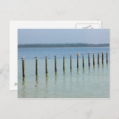 Golfkust - Laten we Briefkaart uithangen (Voorkant / Achterkant)