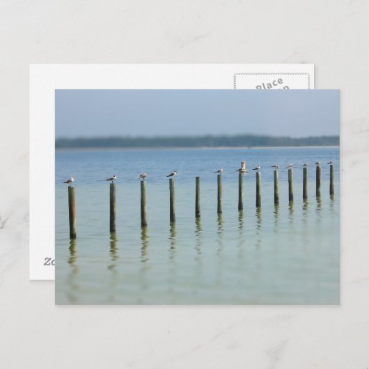 Golfkust - Laten we Briefkaart uithangen (Voorkant / Achterkant)