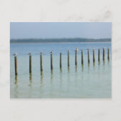 Golfkust - Laten we Briefkaart uithangen (Voorkant)