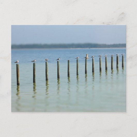 Golfkust - Laten we Briefkaart uithangen (Voorkant)