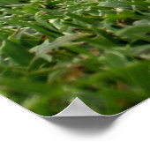 GolfPoster Poster (Hoek)