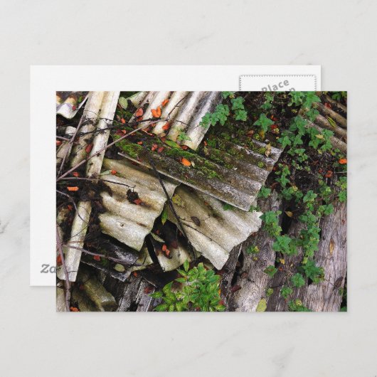 golfslag briefkaart (Voorkant / Achterkant)