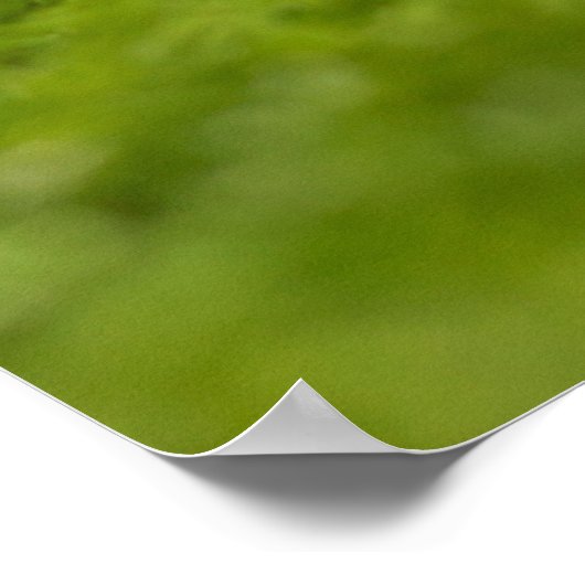 GolfValentijnsdag met golfbal en rood hart Poster (Hoek)