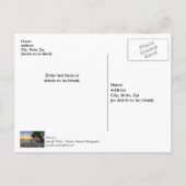 Golfwind Florida Zonsondergang Bedankkaart Briefkaart (Achterkant)