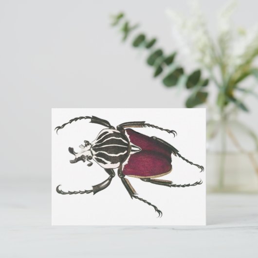 Goliath Beetle Briefkaart (Staand voorkant)