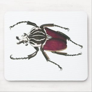 Goliath Beetle Muismat