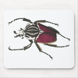 Goliath Beetle Muismat