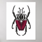Goliath beetle poster (Voorkant)