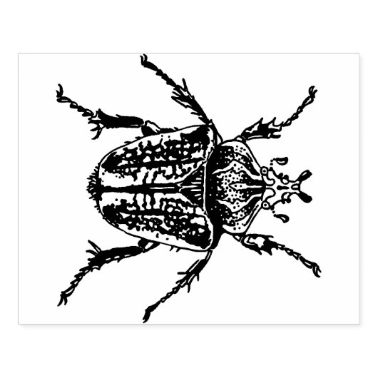 Goliath Beetle Rubberstempel (Afrduk)