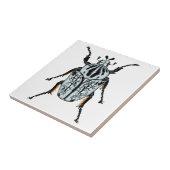 Goliath Beetle (single) Tegeltje (Zijkant)