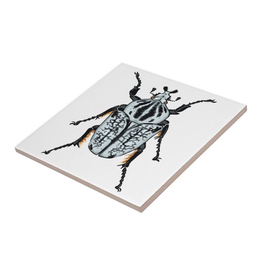 Goliath Beetle (single) Tegeltje (Zijkant)