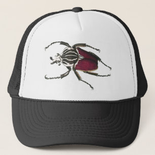 Goliath Beetle Trucker Pet