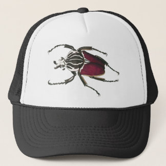 Goliath Beetle Trucker Pet