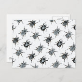 Goliath Beetles Briefkaart (Voorkant / Achterkant)