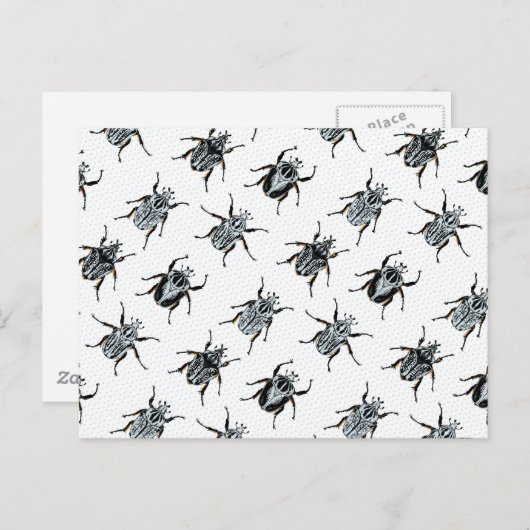 Goliath Beetles Briefkaart (Voorkant / Achterkant)