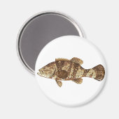 Goliath Grouper GameFish oceaan vector illustratie Magneet (Voorkant / Achterkant)