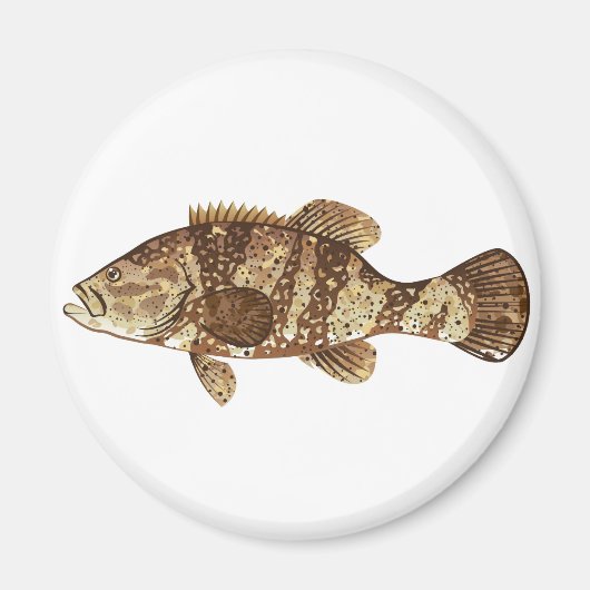 Goliath Grouper GameFish oceaan vector illustratie Magneet (Voorkant)