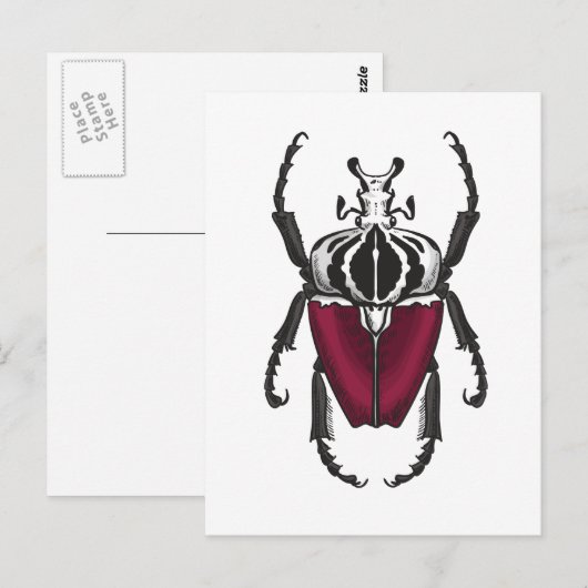 Goliath kever briefkaart (Voorkant / Achterkant)