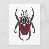 Goliath kever briefkaart (Voorkant)