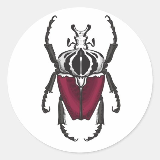 Goliath kever ronde sticker (Voorkant)